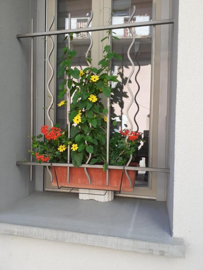 Le D' Emi Appartement Argelès-Gazost